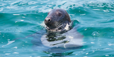 Screenshot 2024-04-12 at 10.52.54